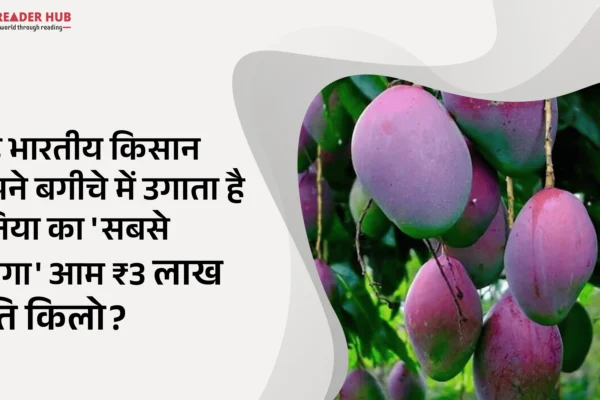 most expensive mango in the world