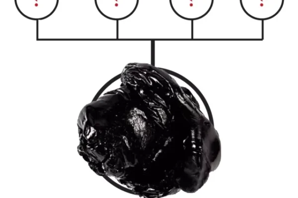 shilajit benefits