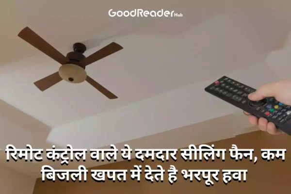 remote ceiling fans