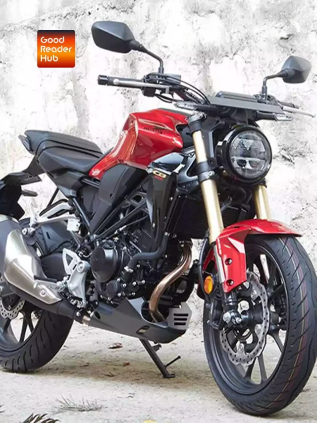 भारत में जानलेवा कींमत के साथ लॉन्च हुई Honda CB300R बाइक