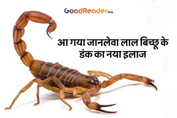 Red Scorpion