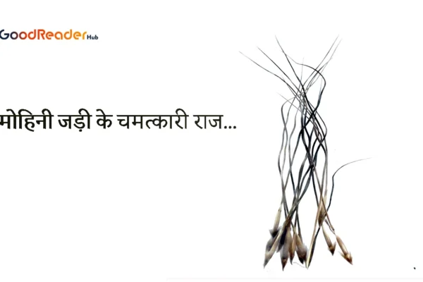 Mohini Jadi