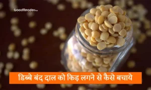 dal me kide kaise bhagaye
