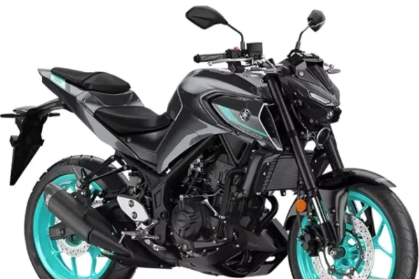 Yamaha R3