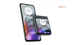 motorola razr 50