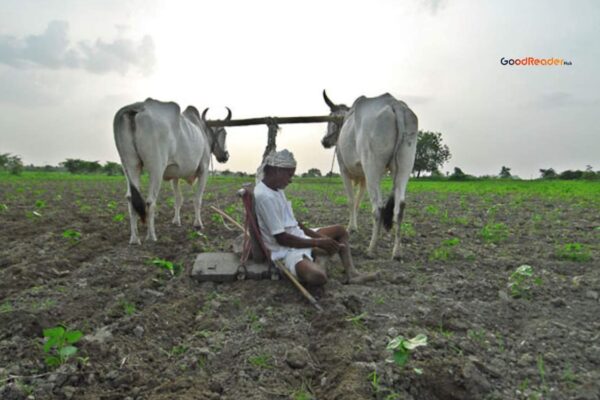 pm kisan samman nidhi